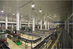 蒙牛达能智慧工厂落户金华,携手金华口腔医院引领健康消费新体验